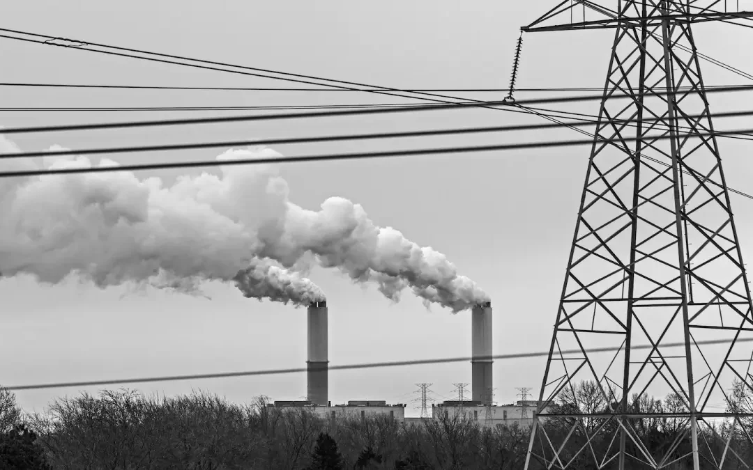 Tech Companies Lead on Real Carbon Removal, But Most Industries Stick with Tree‑Planting Offsets